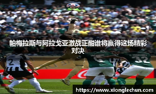 bsports官网入口