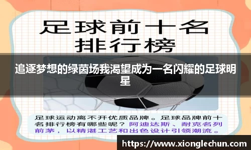 追逐梦想的绿茵场我渴望成为一名闪耀的足球明星